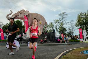 BIB: 
                            <button type="button" onclick="openModal(26528858)" class="btn btn-primary btn-sm float-right btn-popup" data-toggle="modal" data-target=".modal-high-quality">
                        <i class="fas fa-shopping-cart"></i> Add to Cart
                    </button>
                                            <button type="button" onclick="isThisMe(26528858, true)" class="btn btn-success btn-sm float-right btn-popup btn-isme hidden" data-toggle="tooltip" data-placement="bottom" title="นี่คือรูปของคุณใช่ไหม คลิกที่นี่เพื่อเอาเข้าอัลบั้ม">
                        <i class="fas fa-plus"></i> Add to album
                    </button>
                    <button type="button" onclick="isThisMe(26528858, false)" class="btn btn-warning btn-sm float-right btn-popup btn-isnotme hidden">
                        <i class="fas fa-ban"></i> Remove from album
                    </button>